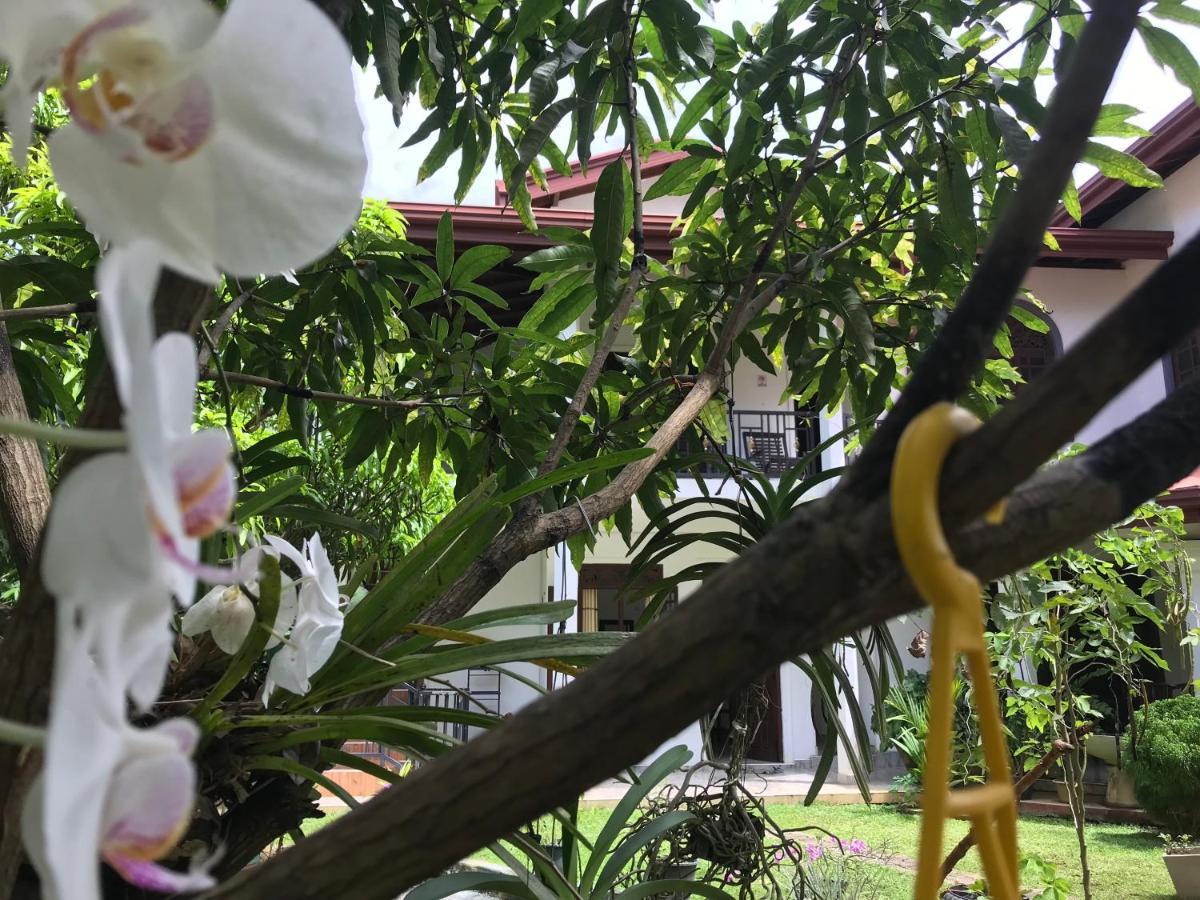 Green Edge Residences Dambulla Exterior photo
